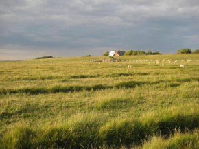 Hof Rickelsbüll - Nordseeurlaub auf dem Biobauernhof